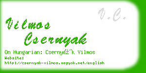 vilmos csernyak business card